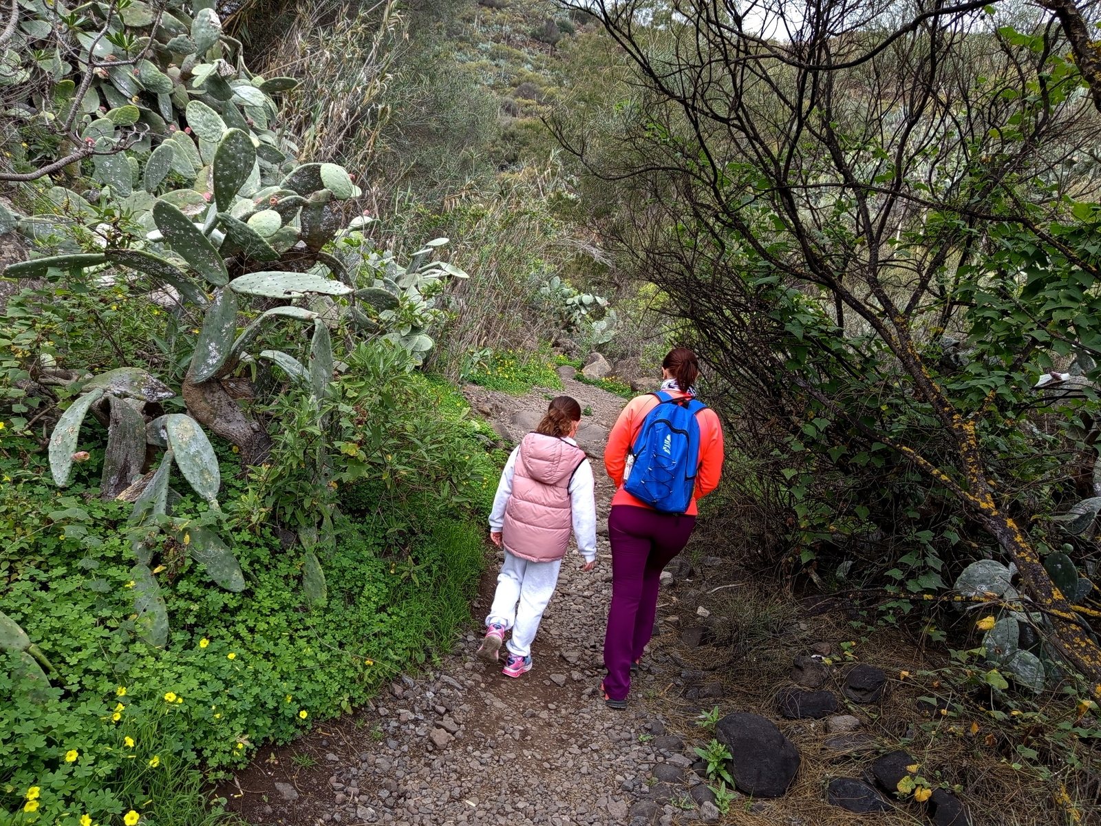 Walkers on the Barranco de los Cernícalos trail